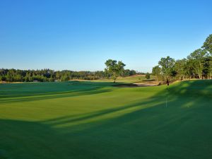 Mammoth Dunes 2nd Back